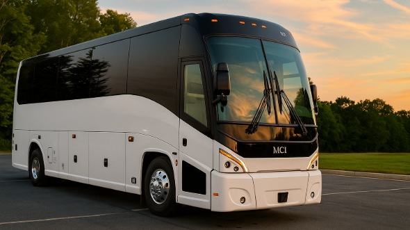 lakewood bachelor and bachelorette party bus rentals