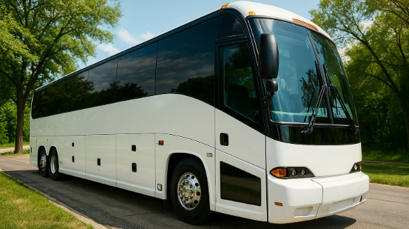 lakewood birthday sweet 16 party bus rentals